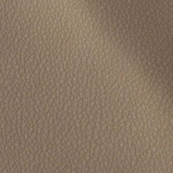 2434827 - NOCCIOLA
